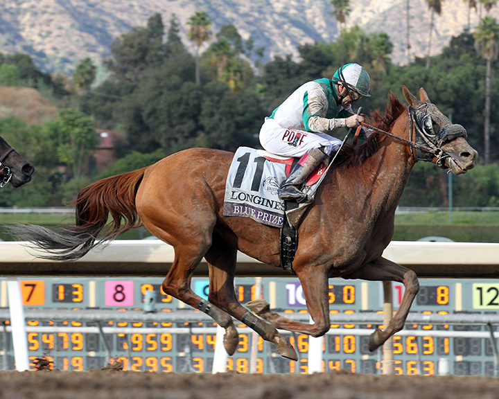 Blue Prize gets the best of Midnight Bisou in Breeders Cup Distaff